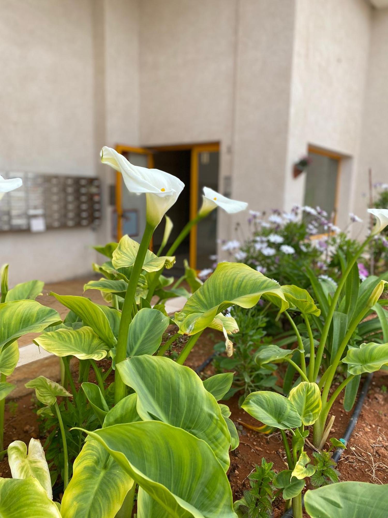 Apartament Ambar Beach Calpe Zewnętrze zdjęcie